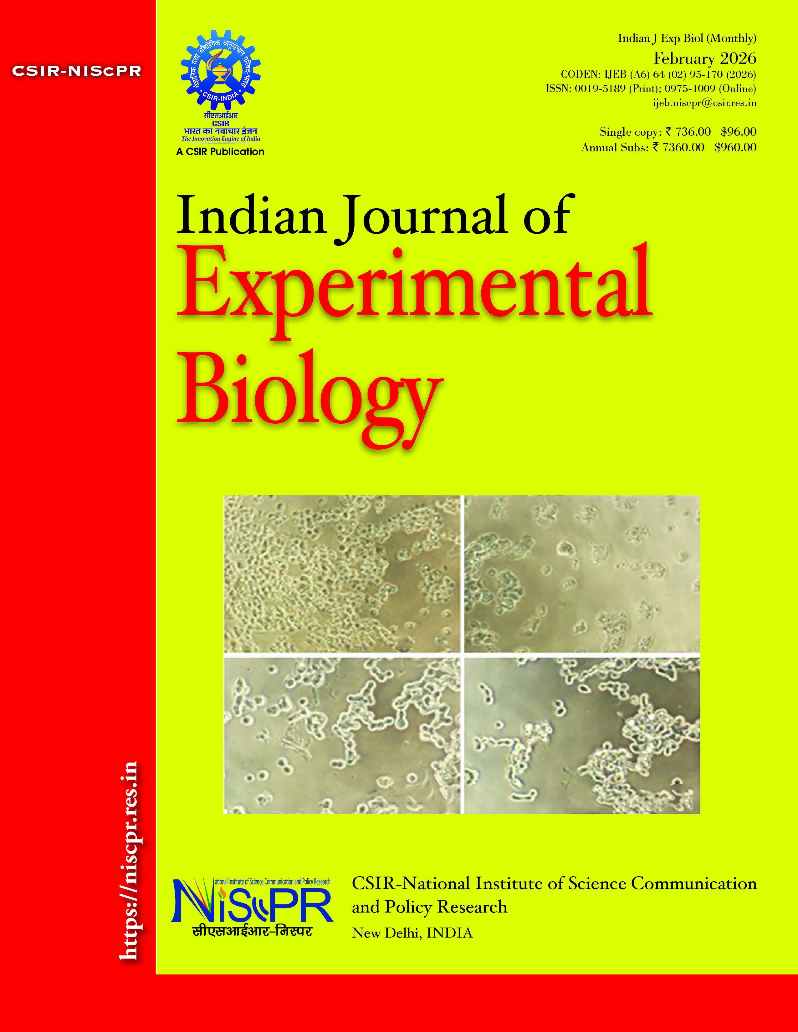 					View Vol. 64 No. 02 (2026): IJEB FEBRUARY 2026
				