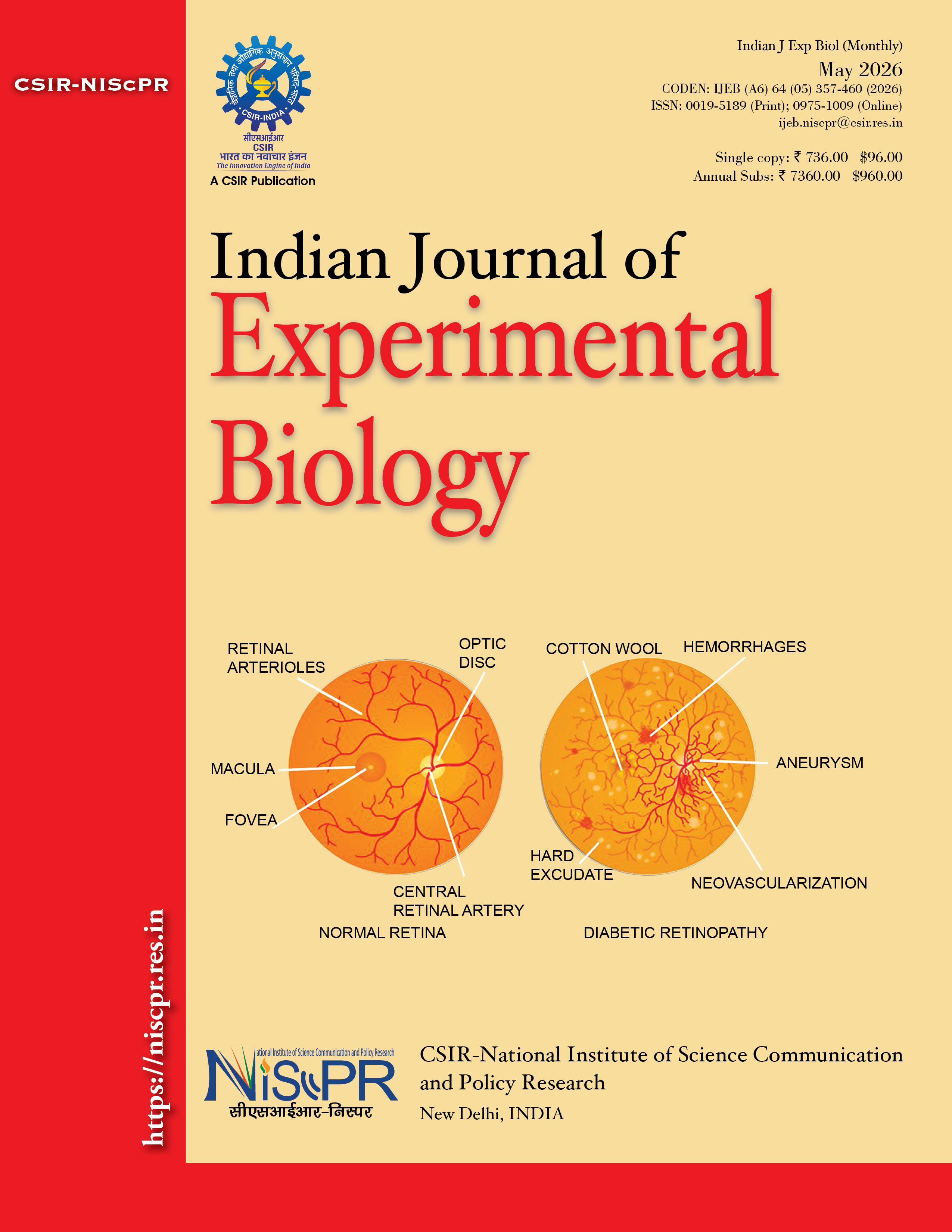 					View Vol. 64 No. 05 (2026): IJEB MAY 2026
				