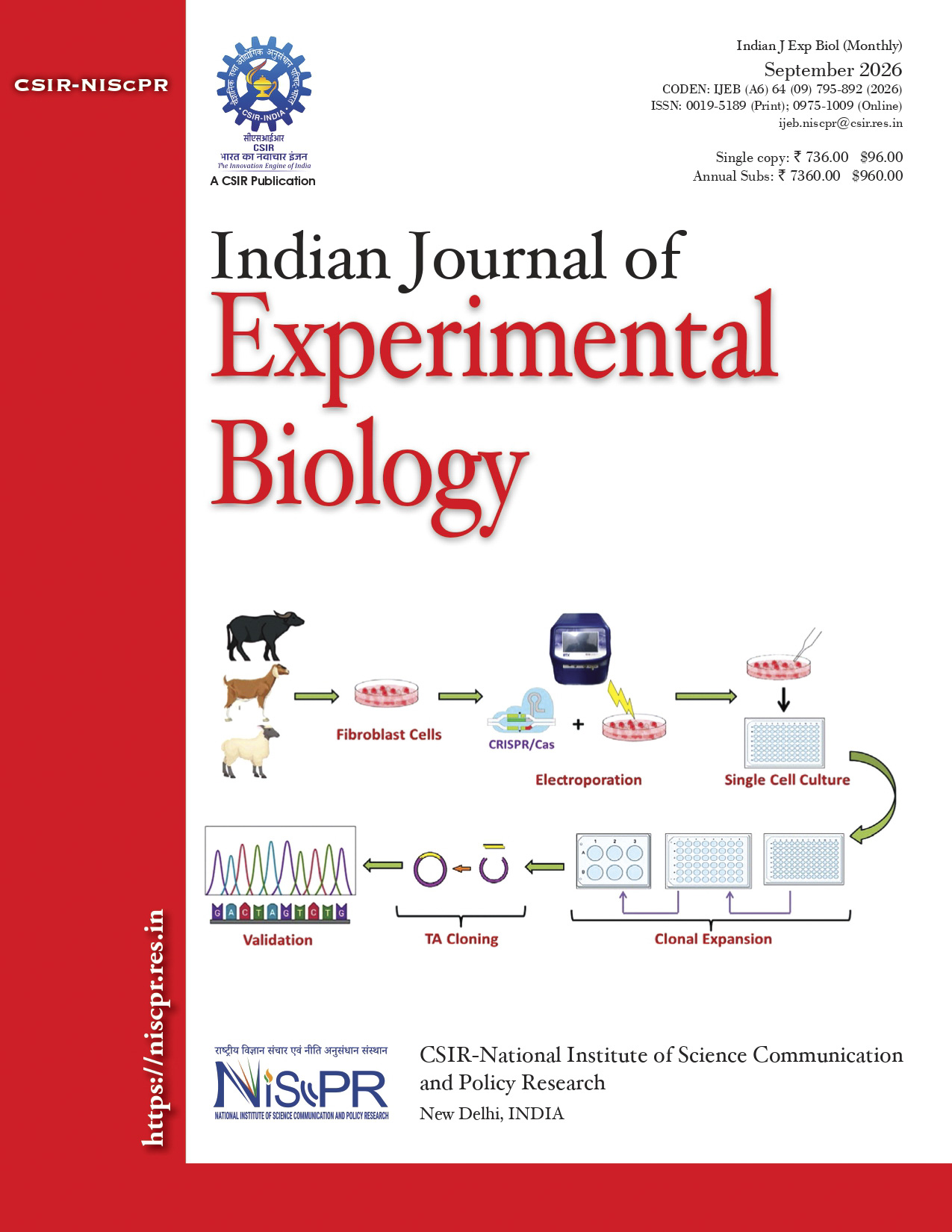 					View Vol. 64 No. 09 (2026): IJEB SEPTEMBER 2026
				